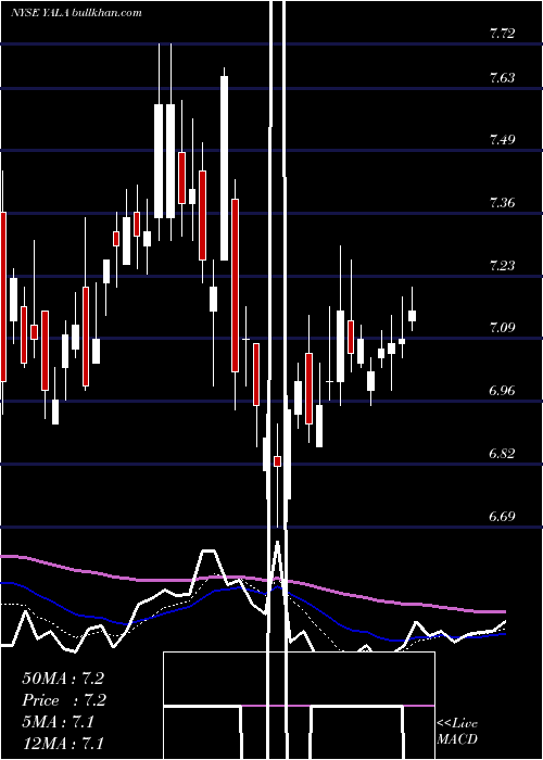  Daily chart YallaGroup