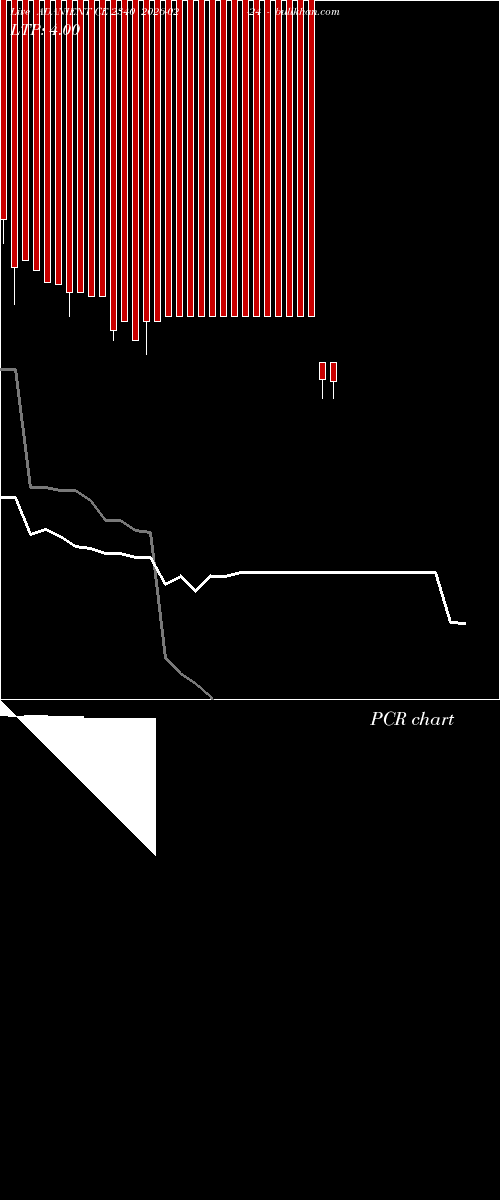  option chart ADANIENT CE 2340 2026-02-24 