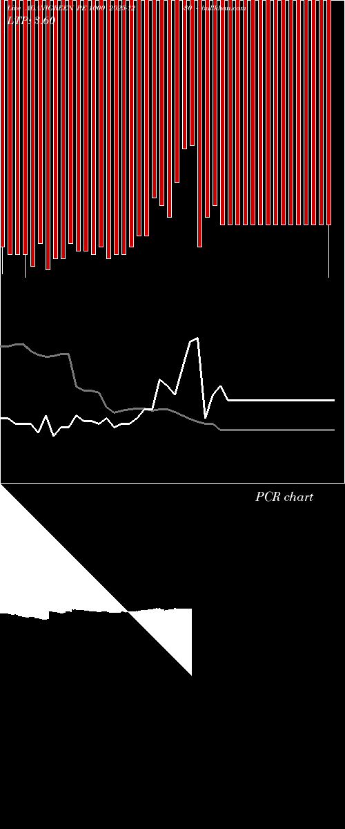  option chart ADANIGREEN PE 1000 2025-12-30 