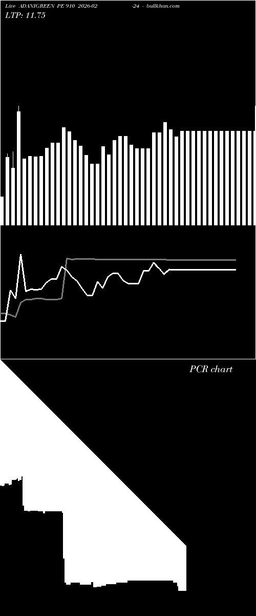  option chart ADANIGREEN PE 910 2026-02-24 