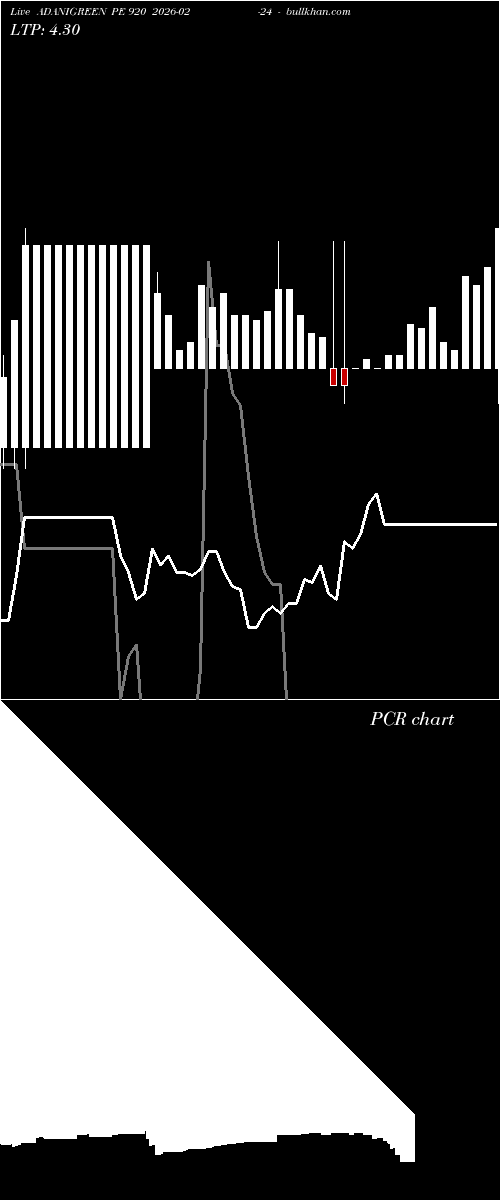  option chart ADANIGREEN PE 920 2026-02-24 