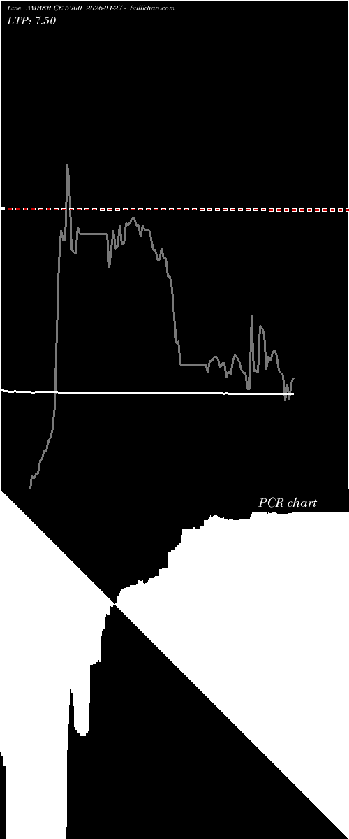  option chart AMBER CE 5900 2026-01-27 