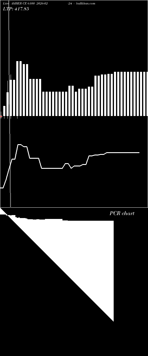  option chart AMBER CE 6100 2026-02-24 