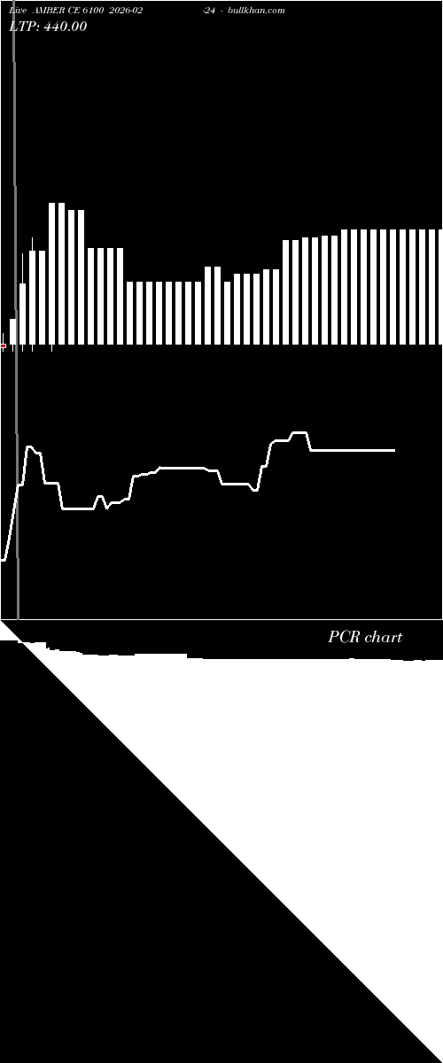  option chart AMBER CE 6100 2026-02-24 