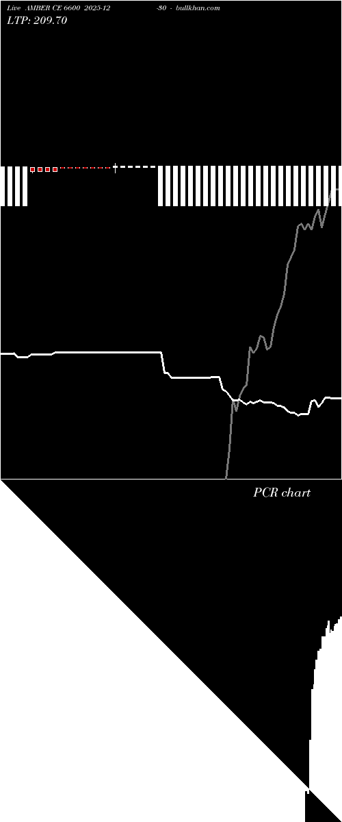  option chart AMBER CE 6600 2025-12-30 