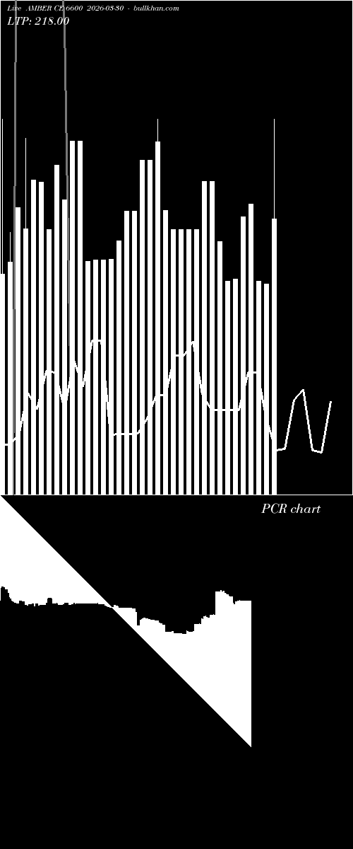  option chart AMBER CE 6600 2026-03-30 