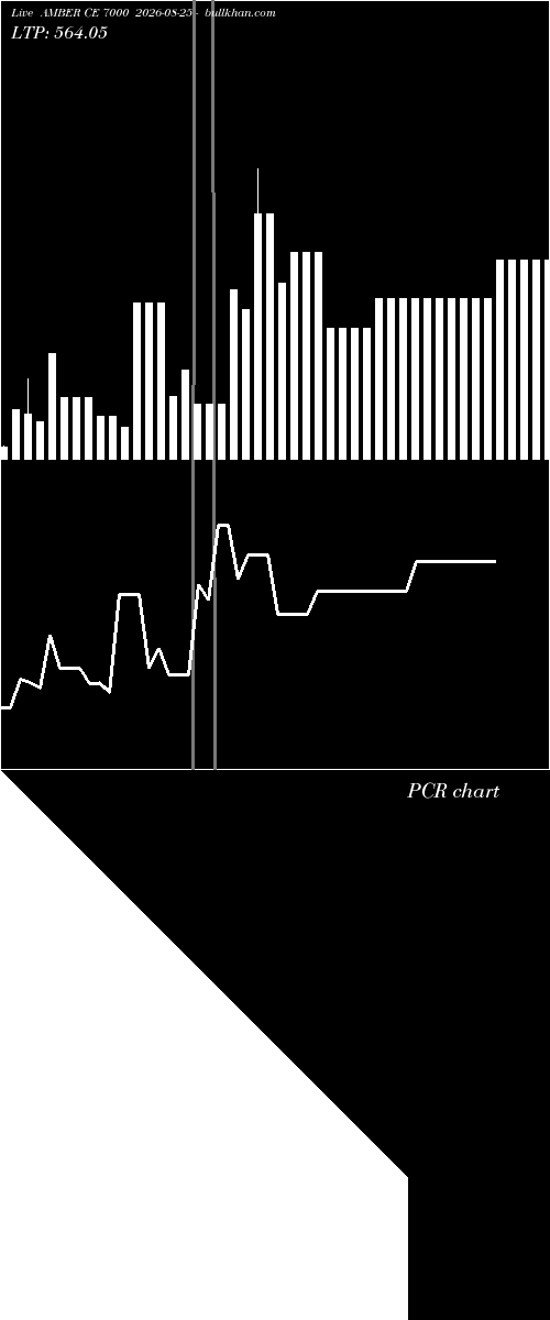  option chart AMBER CE 7000 2026-08-25 