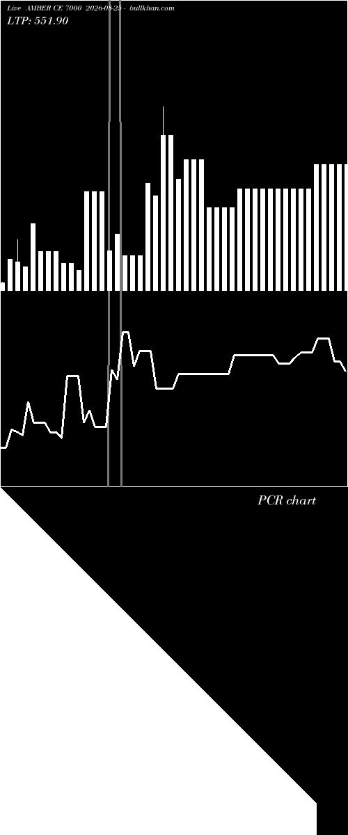  option chart AMBER CE 7000 2026-08-25 
