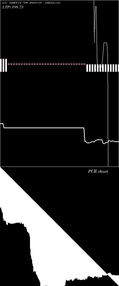 option chart AMBER CE 7100 2026-07-28 