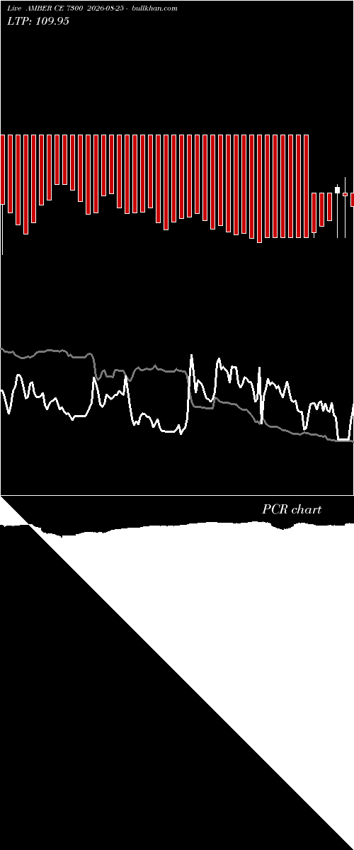  option chart AMBER CE 7300 2026-08-25 