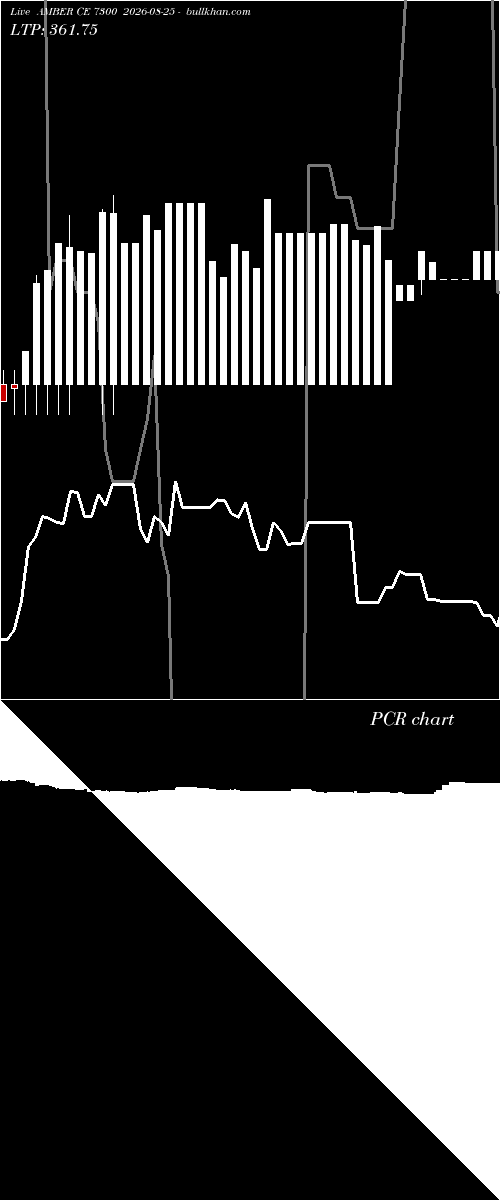  option chart AMBER CE 7300 2026-08-25 