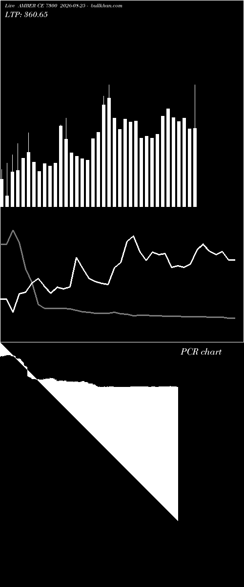  option chart AMBER CE 7300 2026-08-25 
