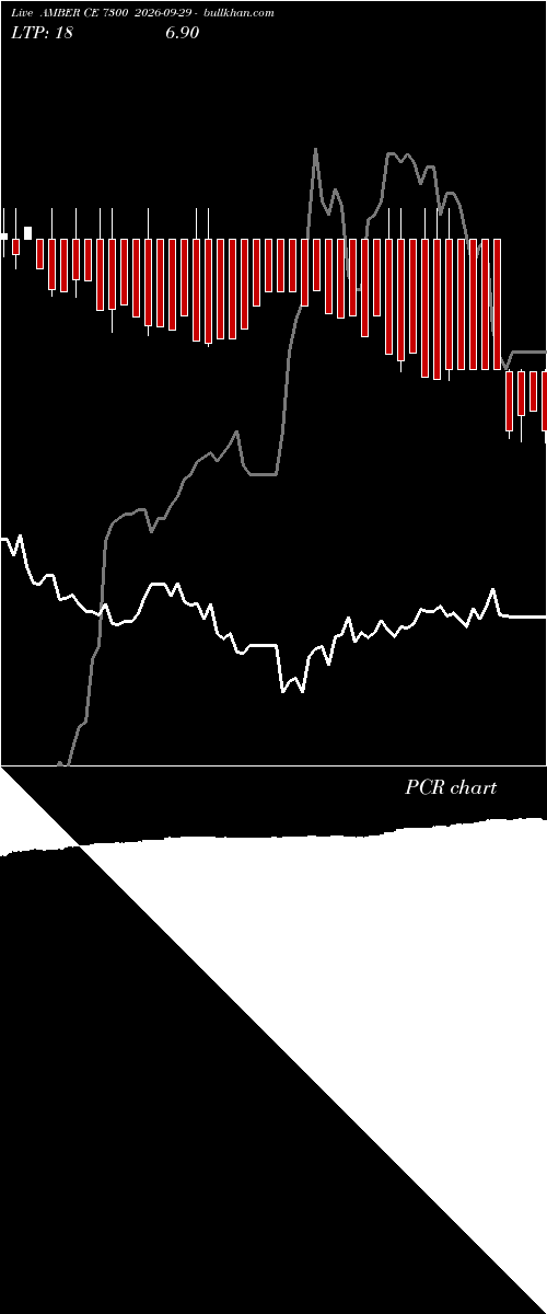  option chart AMBER CE 7300 2026-09-29 