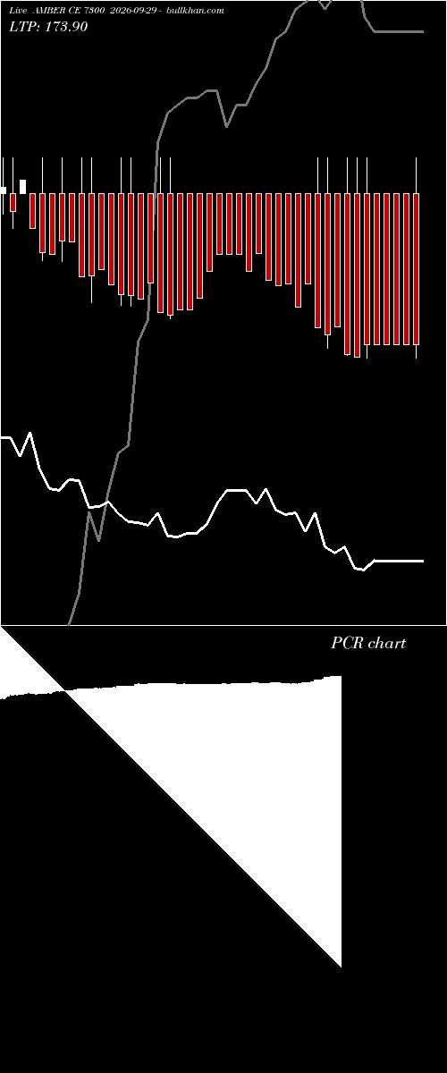  option chart AMBER CE 7300 2026-09-29 