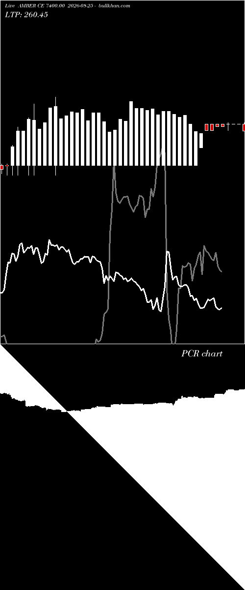  option chart AMBER CE 7400.00 2026-08-25 