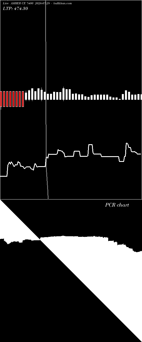  option chart AMBER CE 7400 2026-07-28 