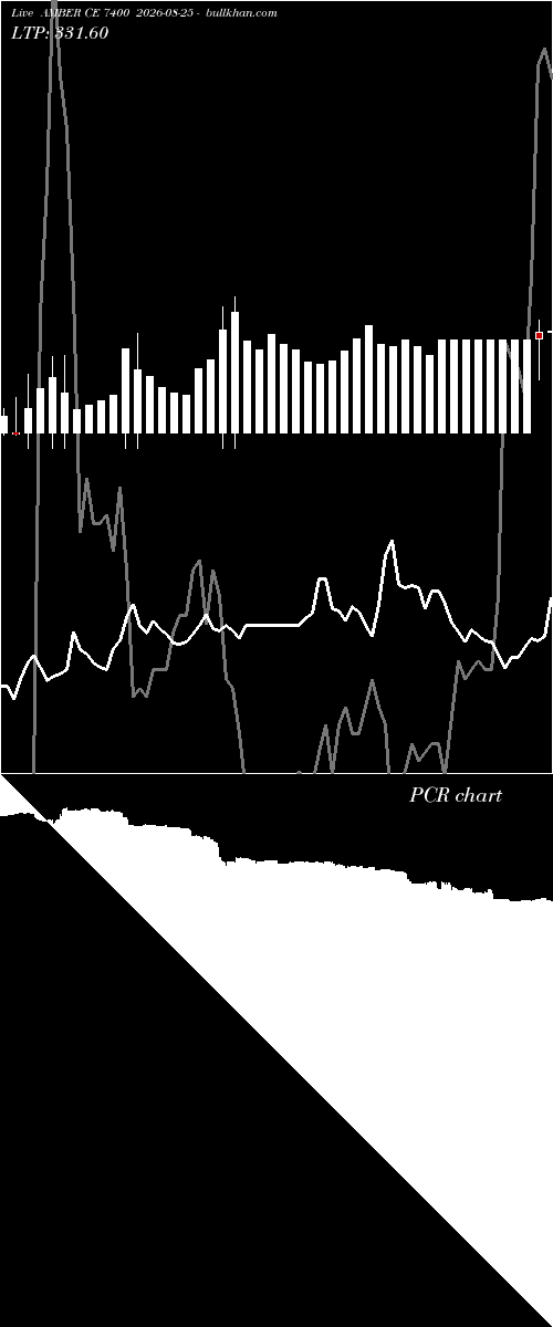  option chart AMBER CE 7400 2026-08-25 
