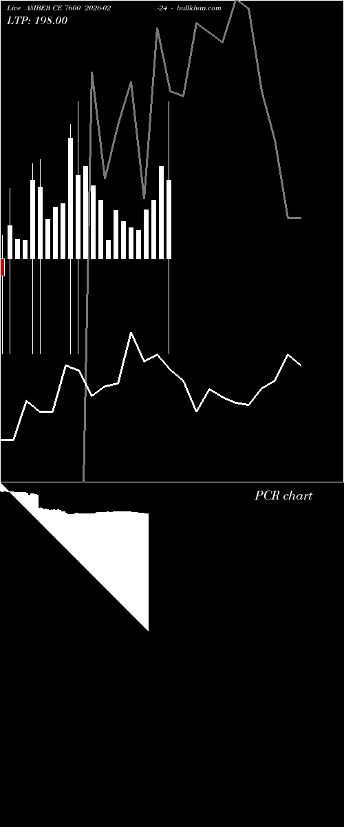  option chart AMBER CE 7600 2026-02-24 
