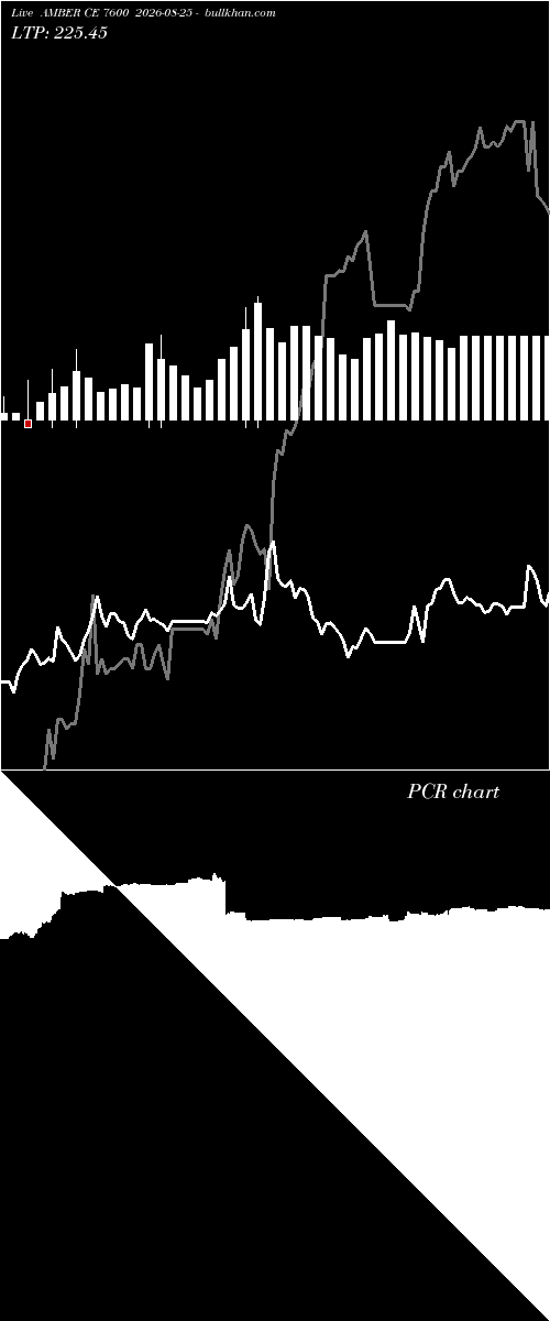  option chart AMBER CE 7600 2026-08-25 