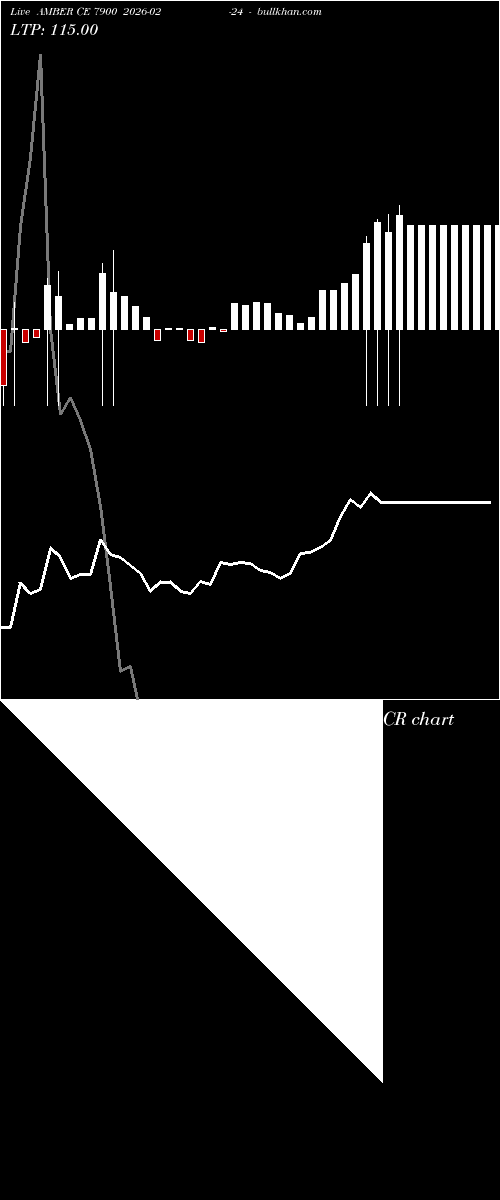  option chart AMBER CE 7900 2026-02-24 