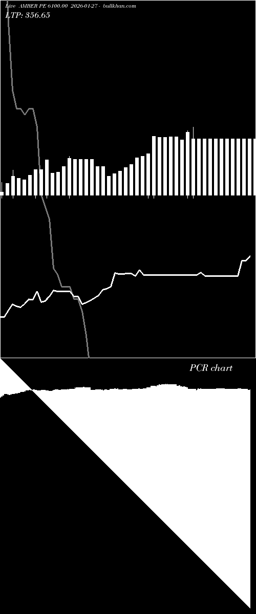  option chart AMBER PE 6100.00 2026-01-27 