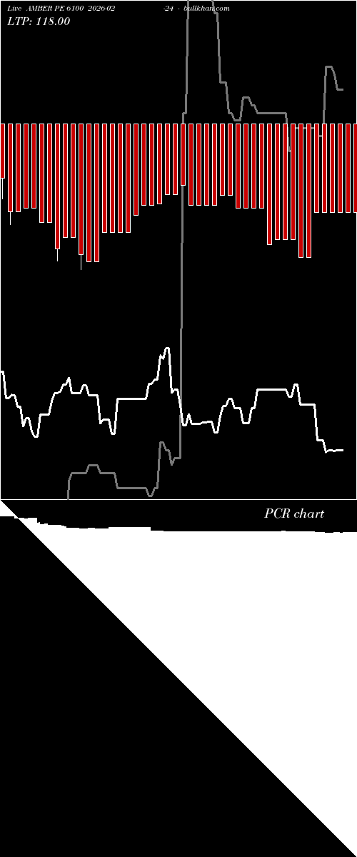  option chart AMBER PE 6100 2026-02-24 