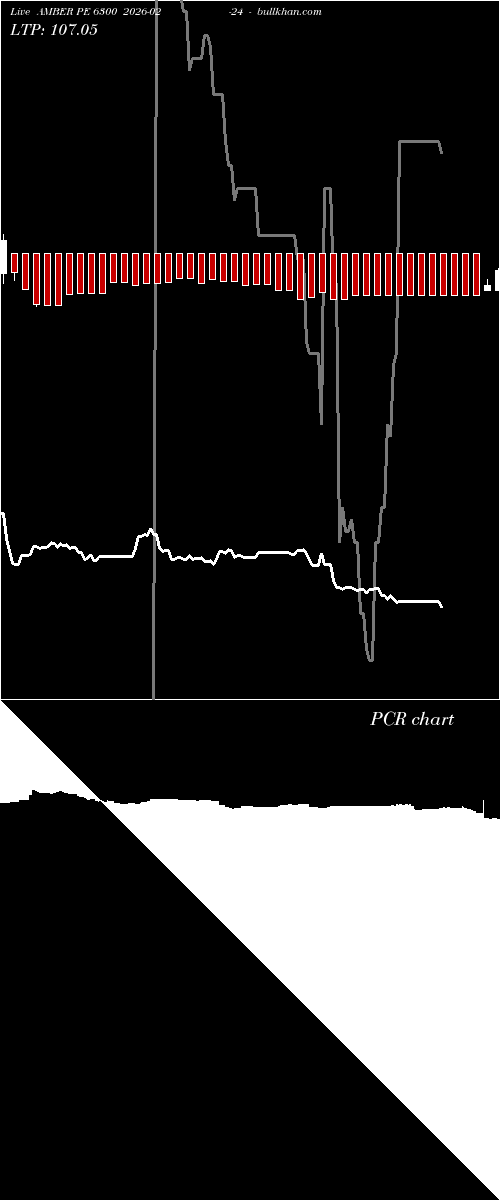 option chart AMBER PE 6300 2026-02-24 