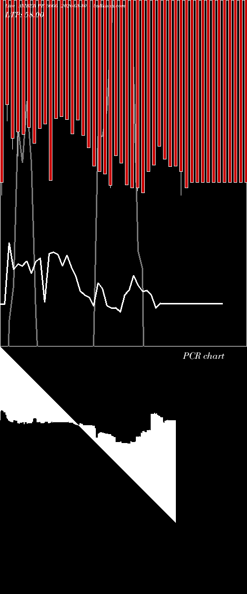  option chart AMBER PE 6600 2026-03-30 