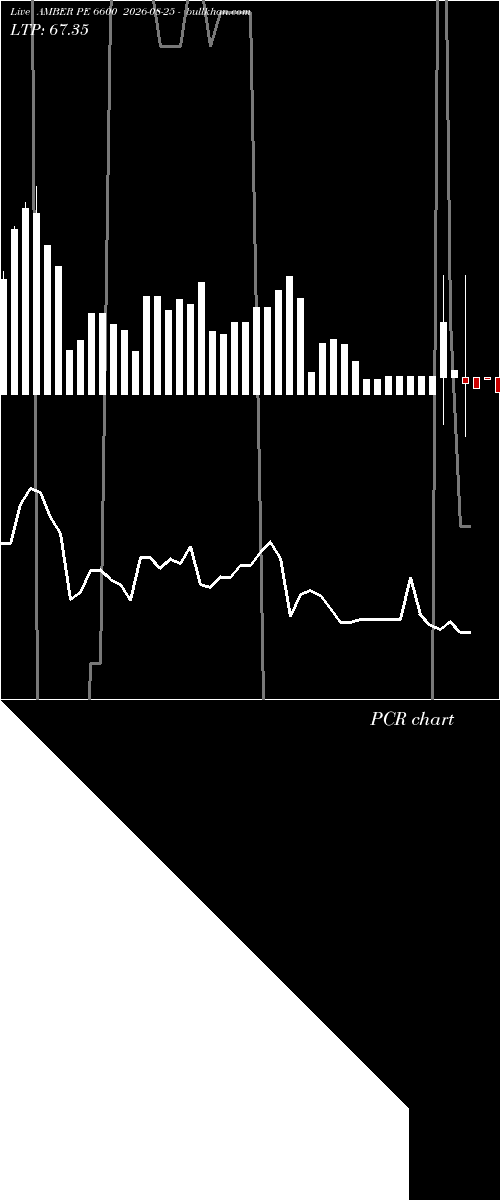  option chart AMBER PE 6600 2026-08-25 