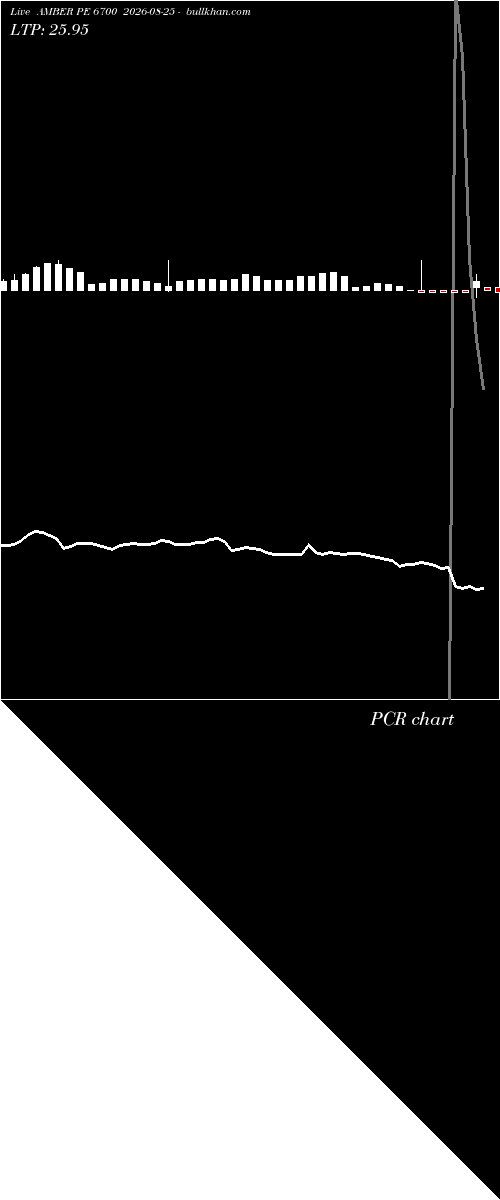  option chart AMBER PE 6700 2026-08-25 