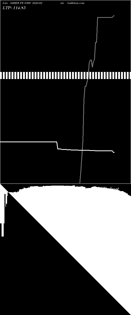  option chart AMBER PE 6900 2026-02-24 
