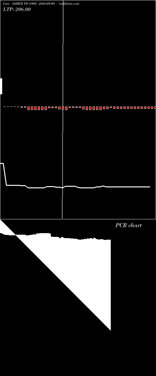  option chart AMBER PE 6900 2026-03-30 