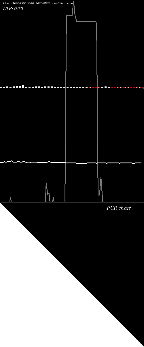  option chart AMBER PE 6900 2026-07-28 
