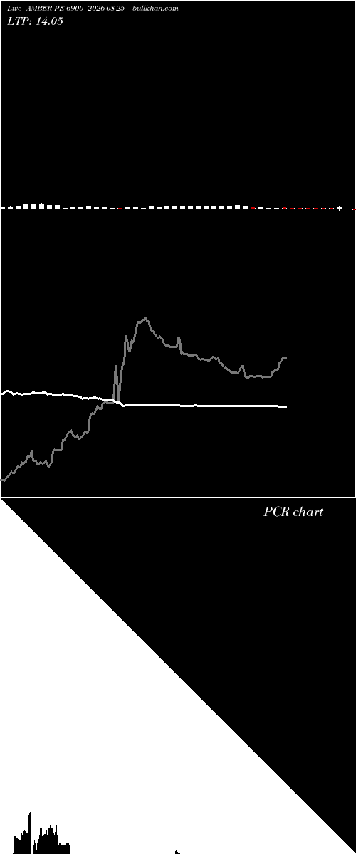  option chart AMBER PE 6900 2026-08-25 