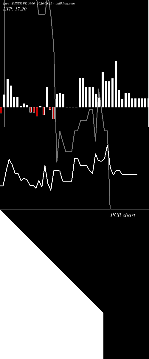  option chart AMBER PE 6900 2026-08-25 