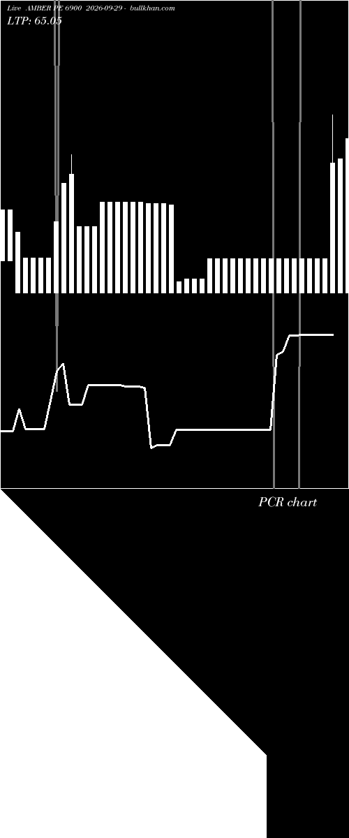  option chart AMBER PE 6900 2026-09-29 