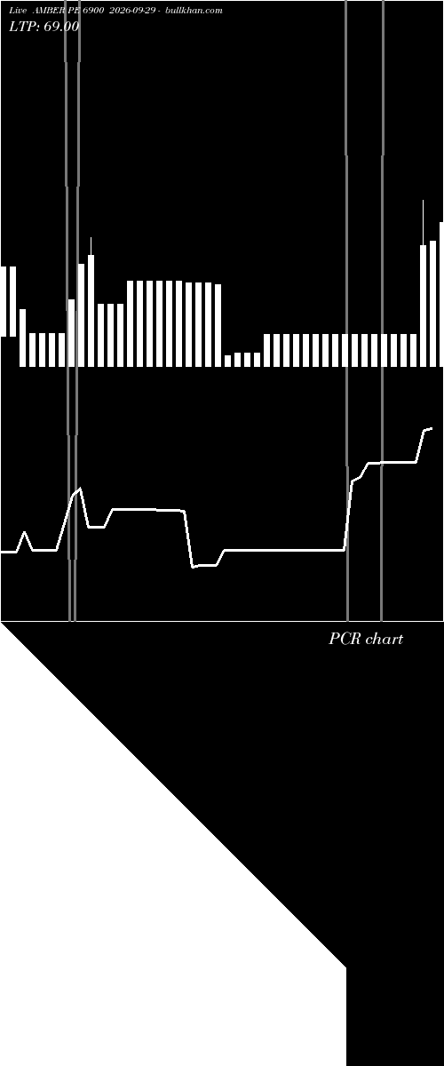  option chart AMBER PE 6900 2026-09-29 