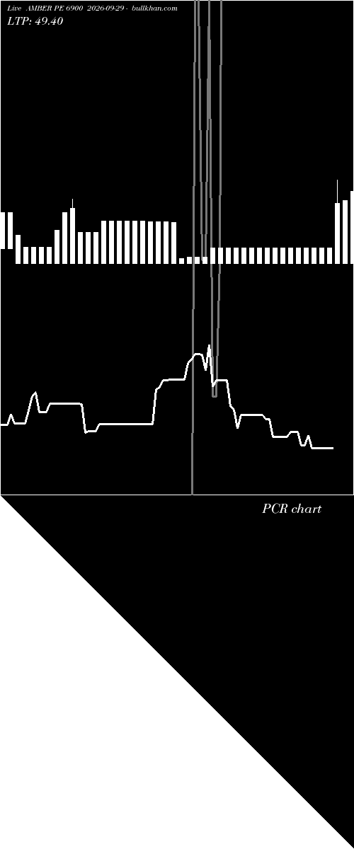  option chart AMBER PE 6900 2026-09-29 