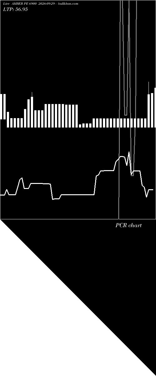  option chart AMBER PE 6900 2026-09-29 