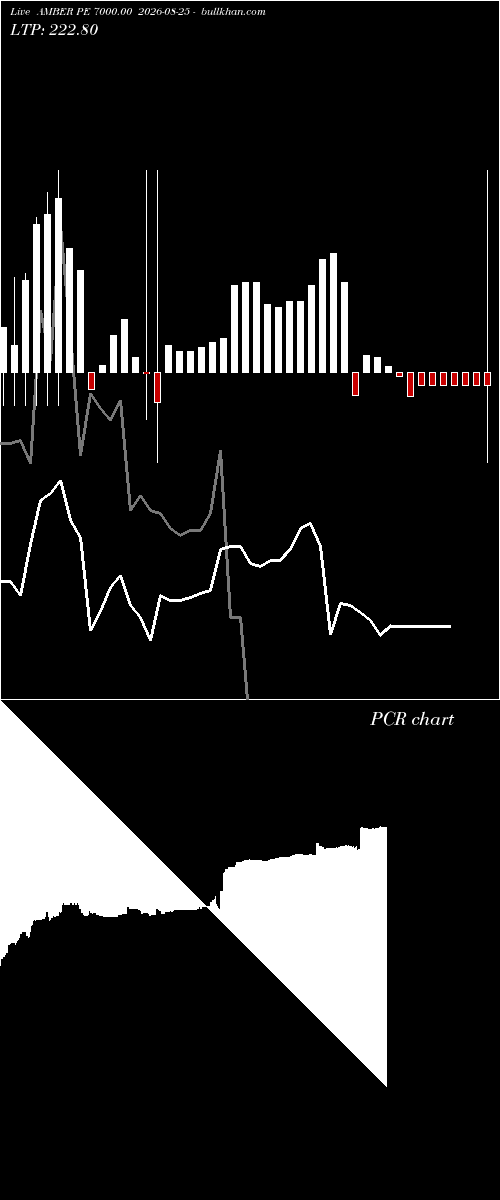  option chart AMBER PE 7000.00 2026-08-25 