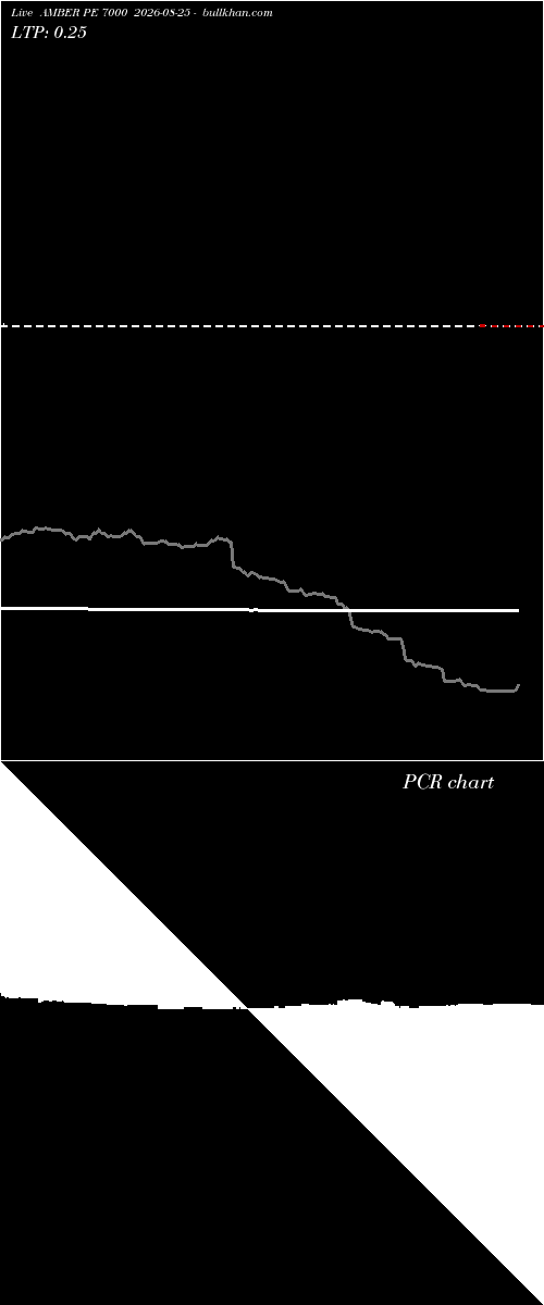  option chart AMBER PE 7000 2026-08-25 