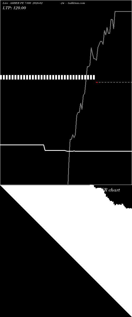  option chart AMBER PE 7100 2026-02-24 