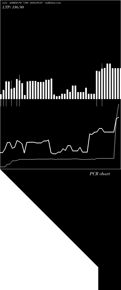  option chart AMBER PE 7100 2026-09-29 