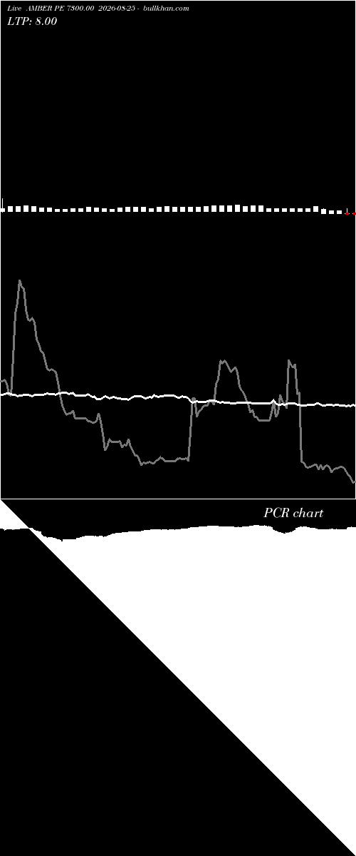  option chart AMBER PE 7300.00 2026-08-25 