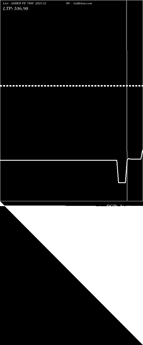  option chart AMBER PE 7300 2025-12-30 
