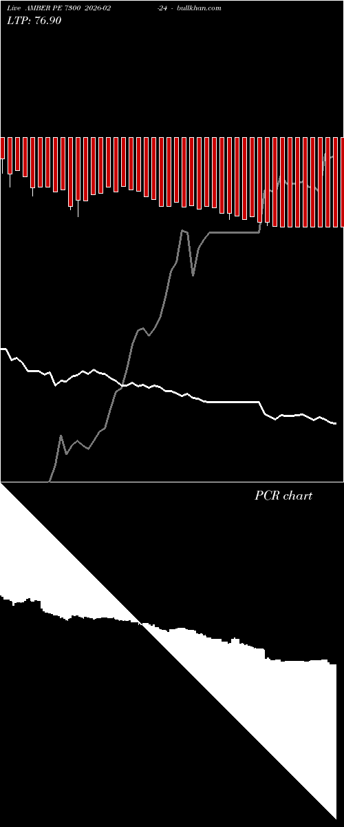  option chart AMBER PE 7300 2026-02-24 