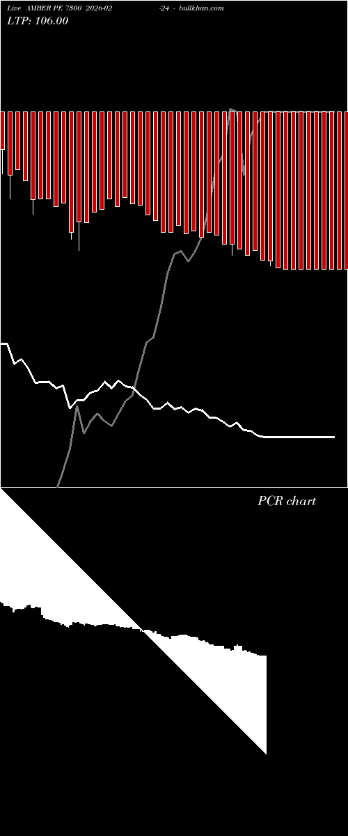  option chart AMBER PE 7300 2026-02-24 