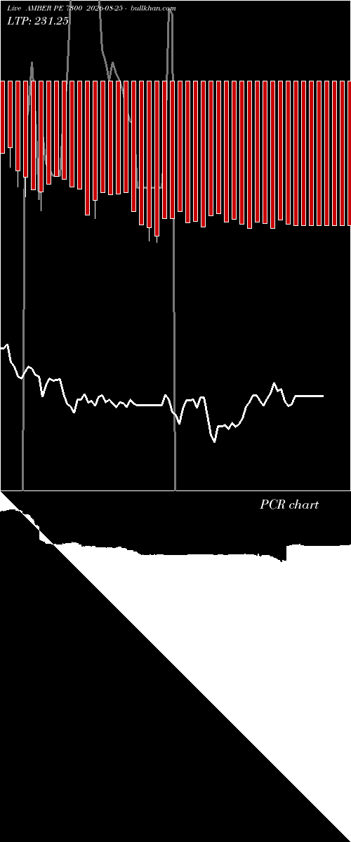  option chart AMBER PE 7300 2026-08-25 