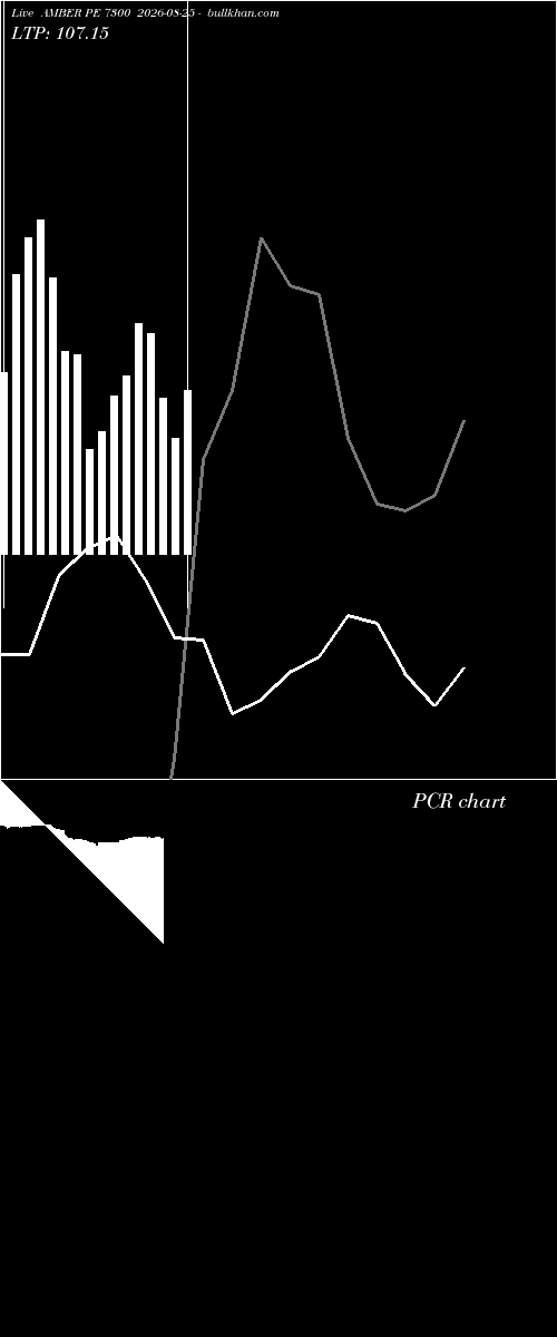  option chart AMBER PE 7300 2026-08-25 