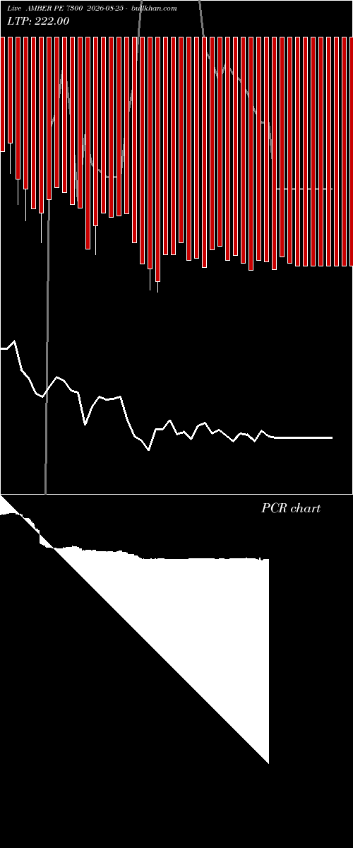  option chart AMBER PE 7300 2026-08-25 